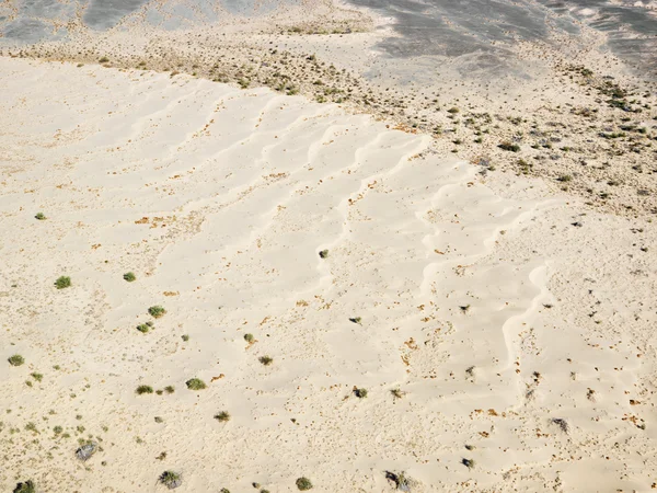 California desert. — Stock Photo, Image