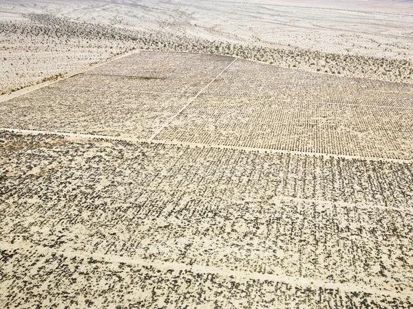 Έρημος με πλέγμα μοτίβο. — Φωτογραφία Αρχείου