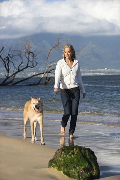 개를 산책하는 여자. — 스톡 사진