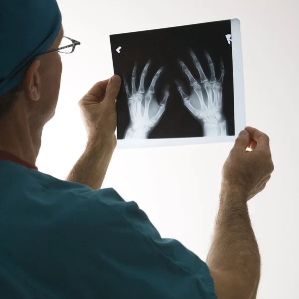Arzt mit einem Röntgenbild. Stockbild