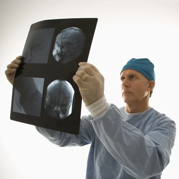 Arzt liest Röntgenbild. Stockfoto