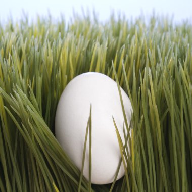 Egg in grass. clipart