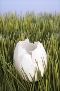 Broken white egg in grass. clipart