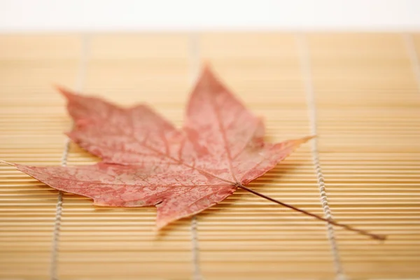 Maple leaf on bamboo mat. — Stock Photo, Image