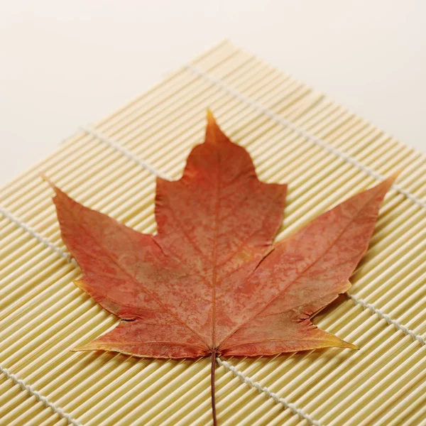 Кленовый лист на бамбуковом коврике . — стоковое фото