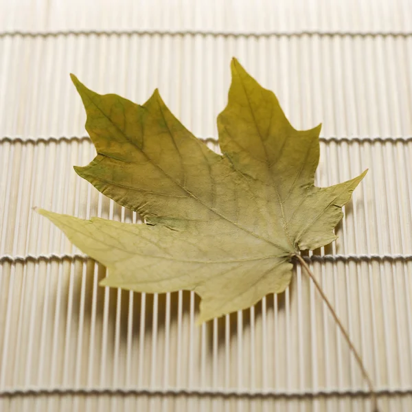 Кленовый лист на бамбуковом коврике . — стоковое фото