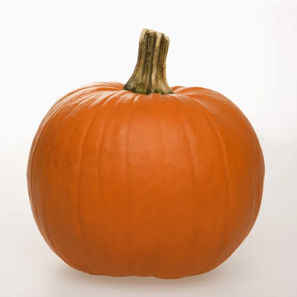 Calabaza en blanco . — Foto de Stock