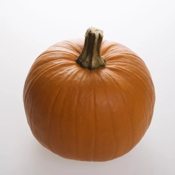 Pumpkin on white. — Stock Photo, Image