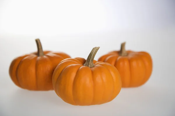 Three pumpkins. — Stock Photo, Image