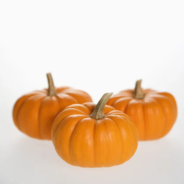 Three pumpkins on white. — Stock Photo, Image