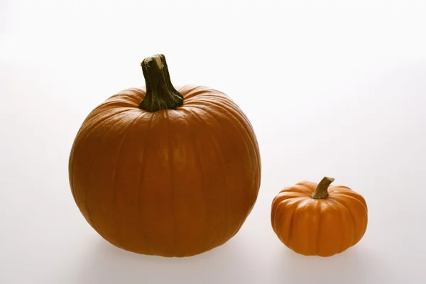 Two pumpkins. — Stock Photo, Image
