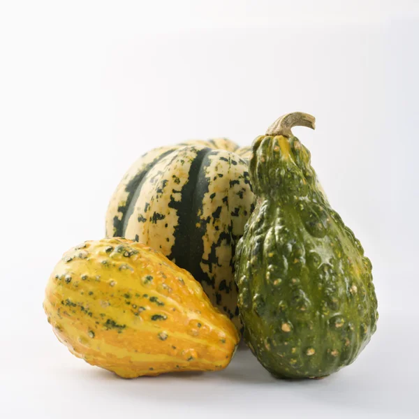 Three gourds — Stock Photo, Image