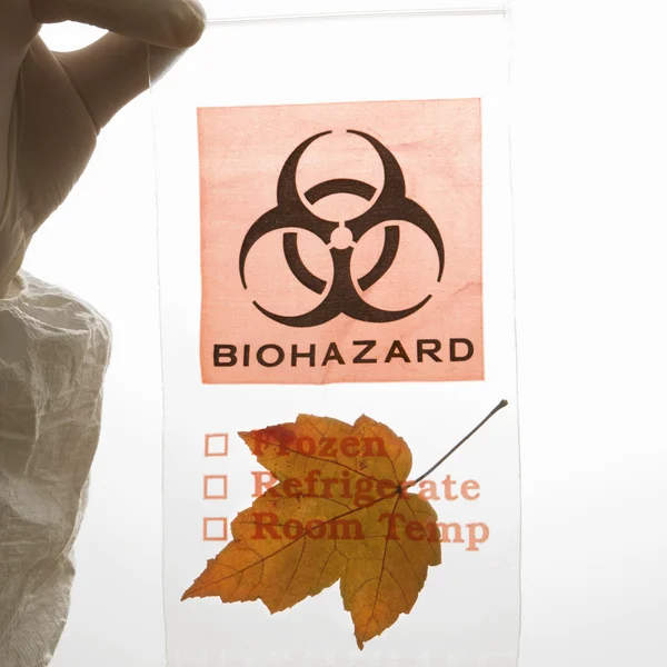Leaf in biohazard zak. — Stockfoto