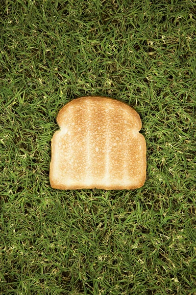 Slice of toast on grass — Stock Photo, Image