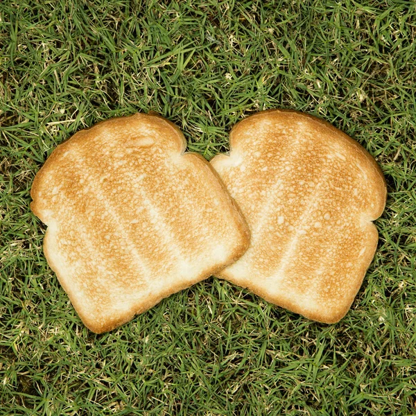 Toast sur l'herbe . — Photo
