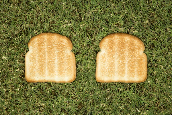 Toast on grass. — Stock Photo, Image