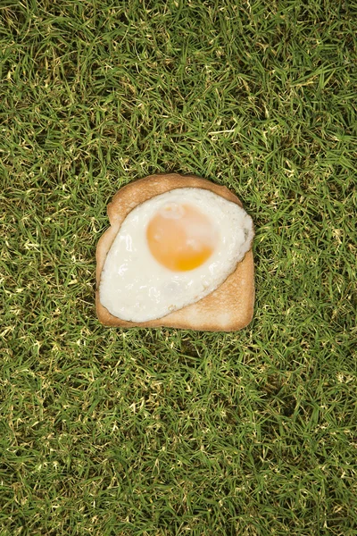 Huevo en tostadas . —  Fotos de Stock