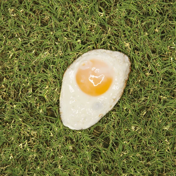 Fried egg on grass. — Stock Photo, Image