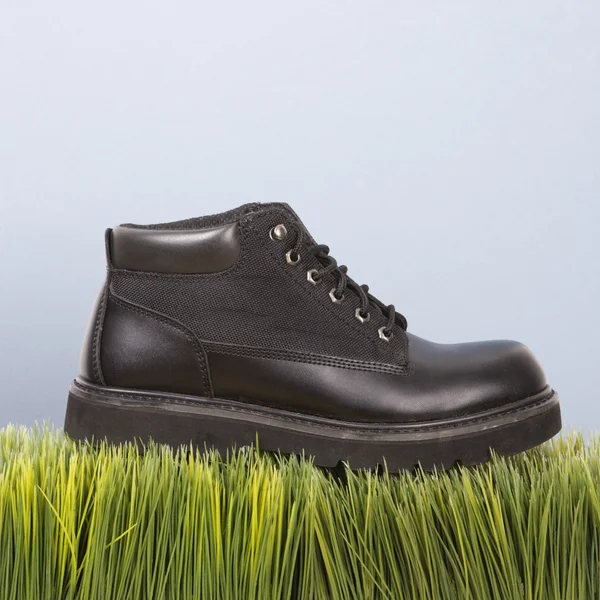 Zapato sobre hierba . —  Fotos de Stock