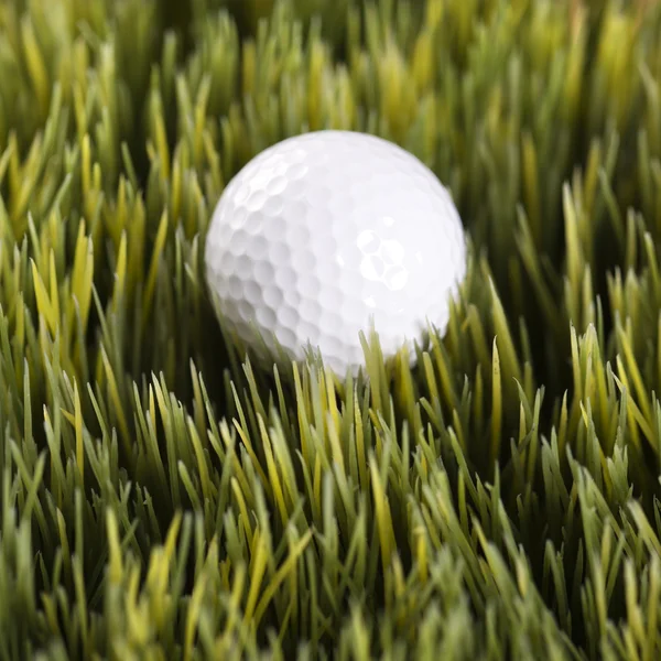 Golfball descansando na grama . — Fotografia de Stock