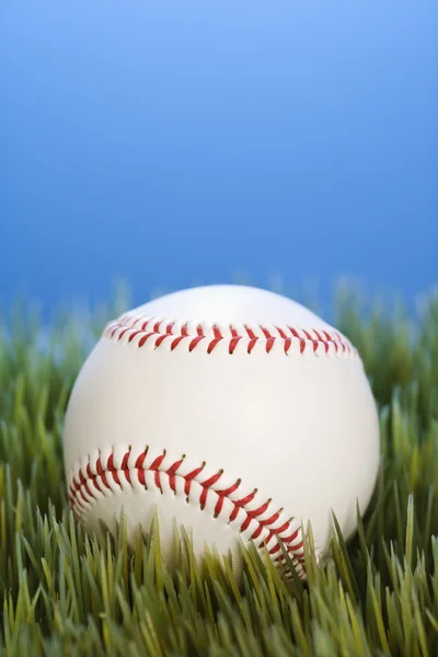 Baseball na trawie. — Zdjęcie stockowe