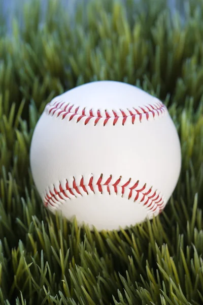 棒球在草丛中. — 图库照片