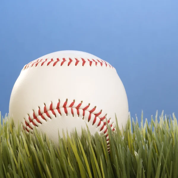 Бейсбол отдыхает в траве . — стоковое фото