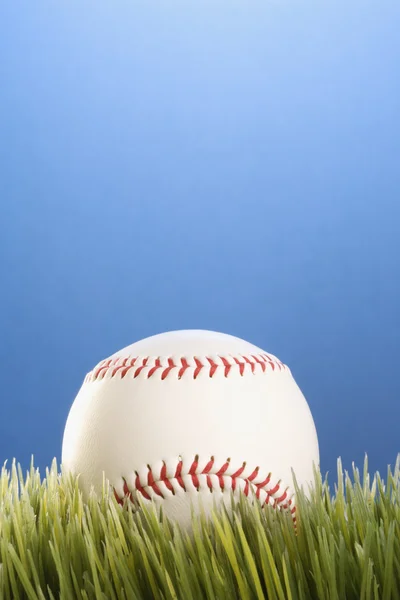 Baseball resting in grass. — Stock Photo, Image