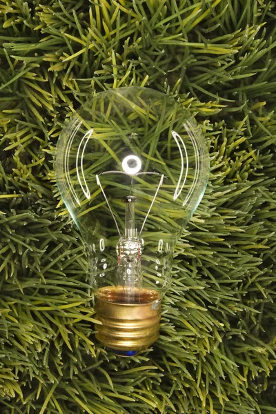 Light bulb in glas op gras. — Stockfoto