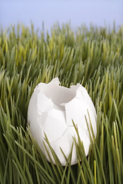 Зламане біле яйце в траві . — стокове фото