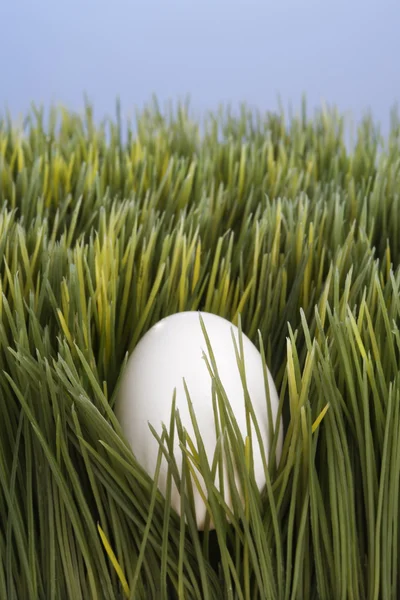 Eier legen im Gras. — Stockfoto