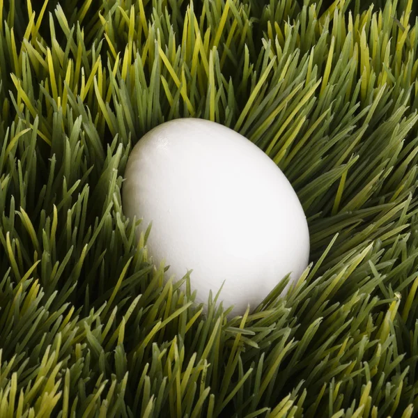 White egg in grass. — Stock Photo, Image