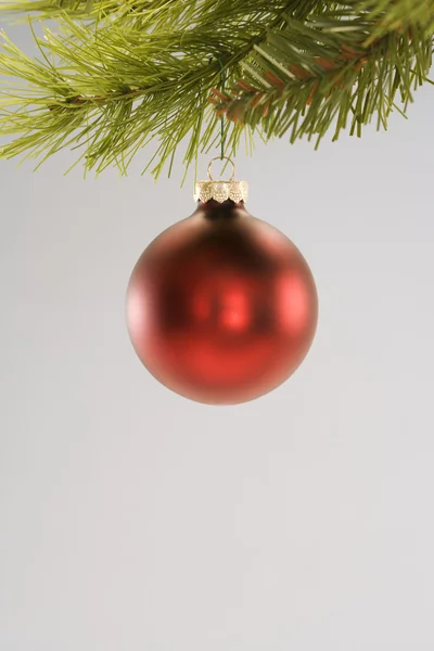 Enfeite de árvore de Natal . — Fotografia de Stock