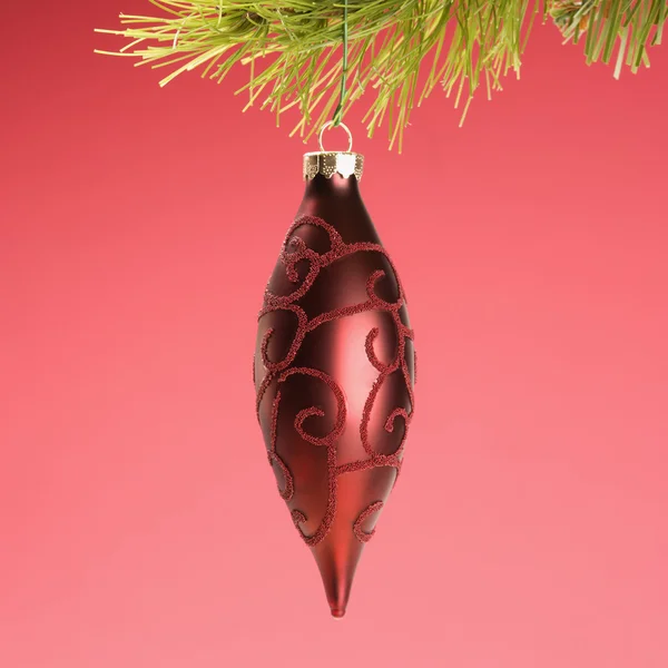 Christmas ornament on tree. — Stock Photo, Image