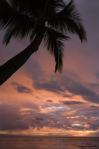 Maui Sunset. — Zdjęcie stockowe