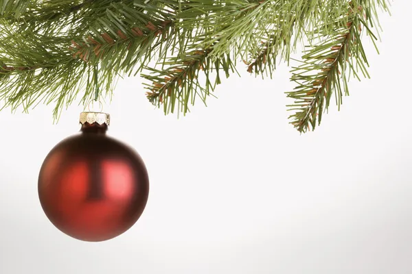Adorno del árbol de Navidad . —  Fotos de Stock