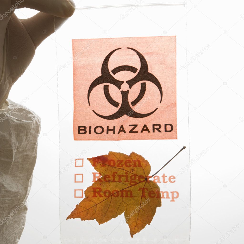 Leaf in biohazard bag.