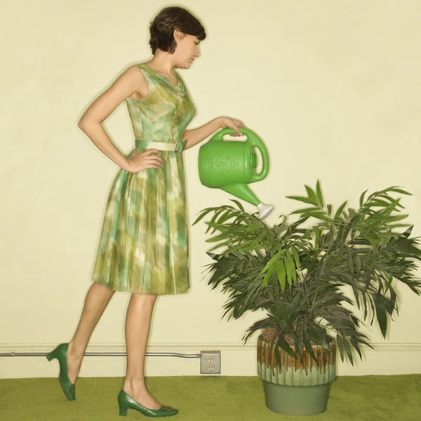Woman watering plant. — Stock Photo, Image
