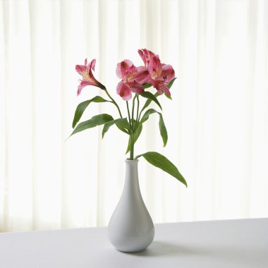 Flowers in vase. clipart