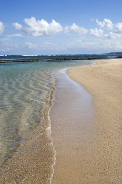 Maui, Hawaii beach.