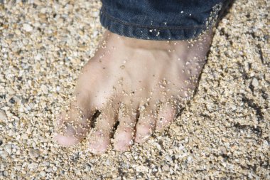 Male foot on beach. clipart