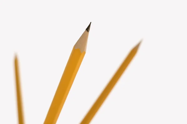 Три карандаша . — стоковое фото