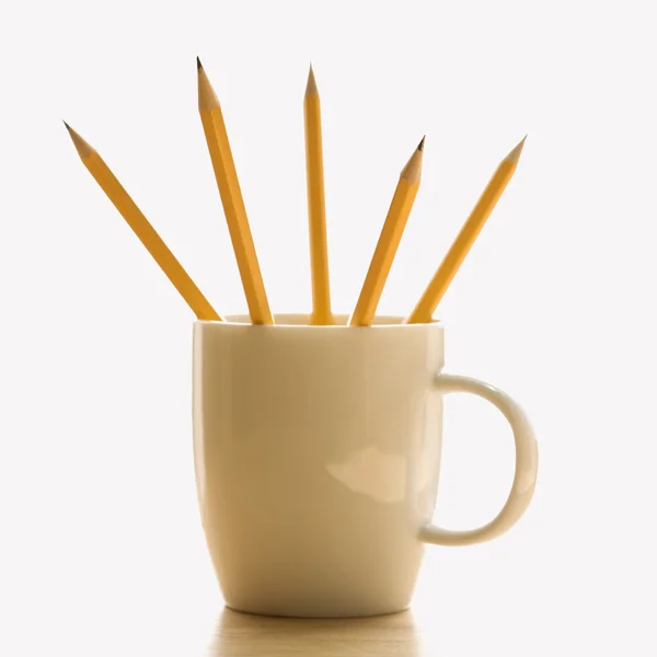 Lápis em xícara de café . — Fotografia de Stock