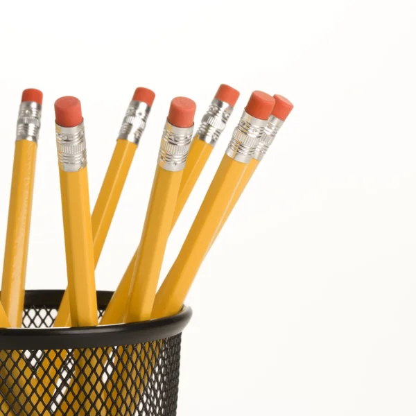 Pencils in holder. — Stock Photo, Image