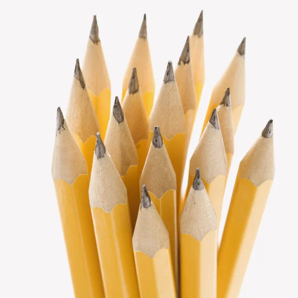 Groep van scherpe potloden. — Stockfoto