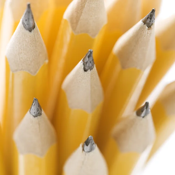 Group of sharp pencils. — Stock Photo, Image