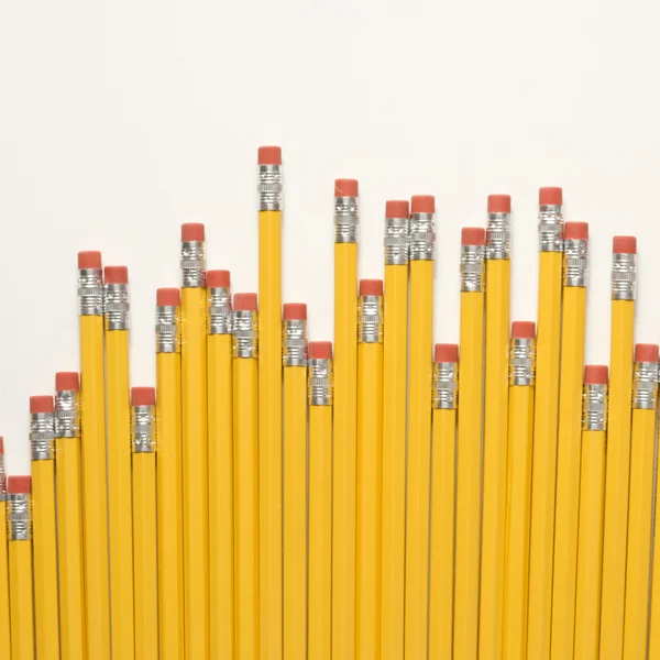 Ряд карандашей . — стоковое фото