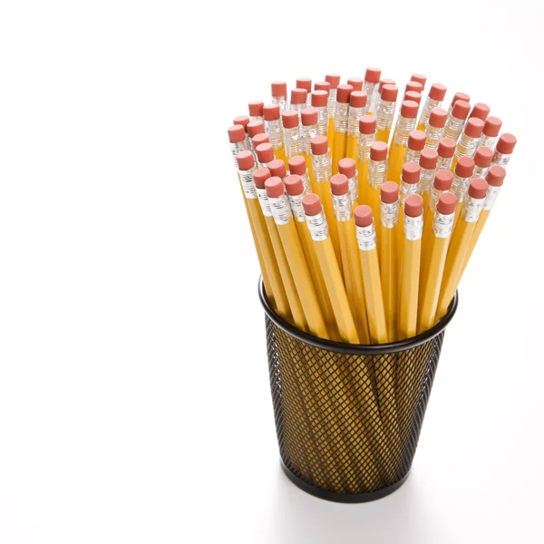 Ołówki w uchwycie. — Zdjęcie stockowe