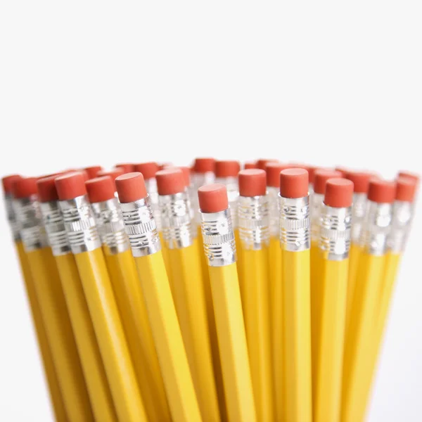 Group of pencils. — Stock Photo, Image