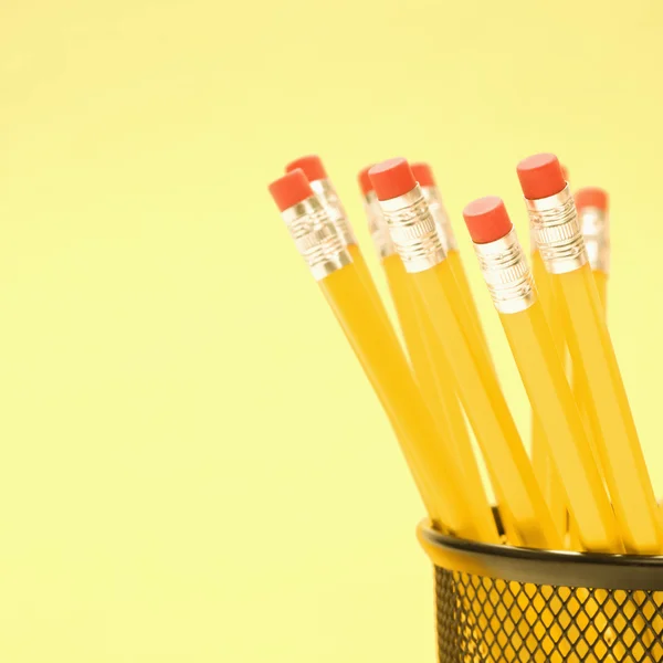Pencils in holder. — Stock Photo, Image